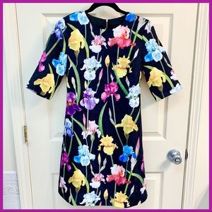 BURRYCO Iris Floral A-Line Dress Size 4 NWT